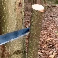 GIF 1.gif