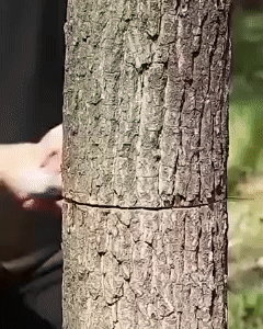 GIF 3.gif